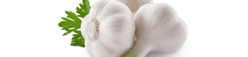 Aglio