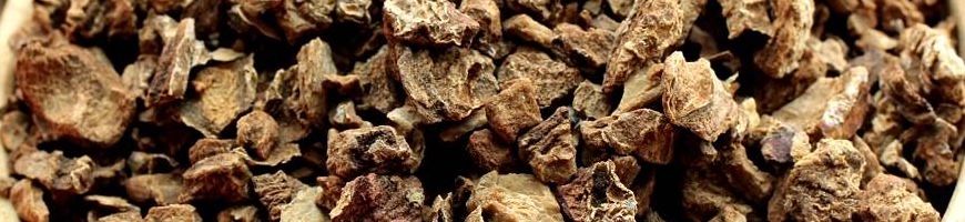 Artiglio del diavolo