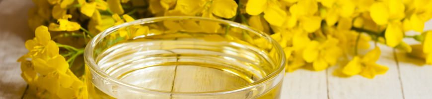 Olio di colza