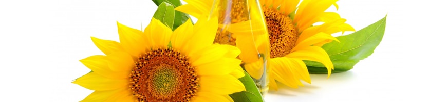 Olio di girasoli