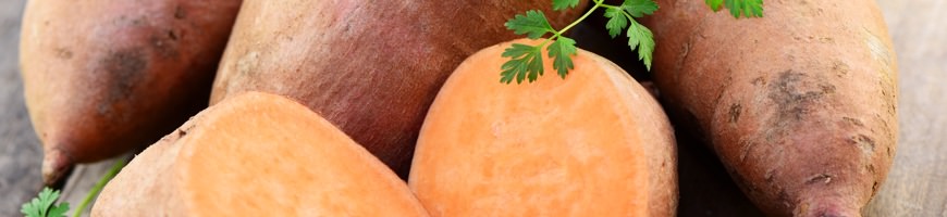 Patate dolci