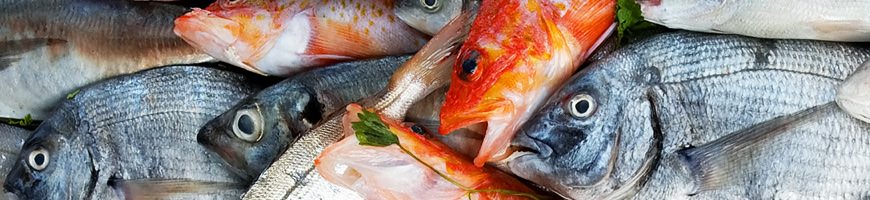 Pesci e derivati