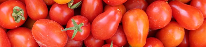 Pomodori
