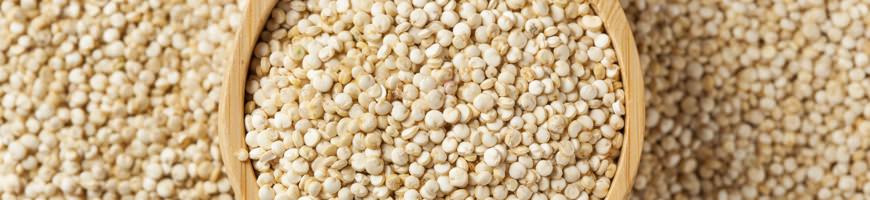quinoa